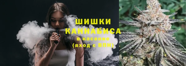 стаф Абаза