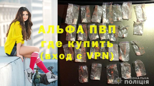 стаф Абаза