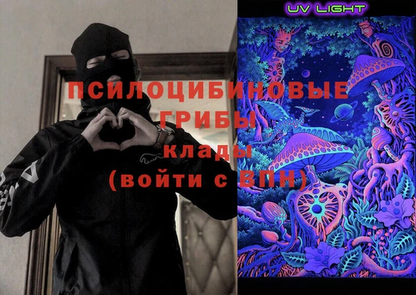 ПСИЛОЦИБИНОВЫЕ ГРИБЫ Кодинск