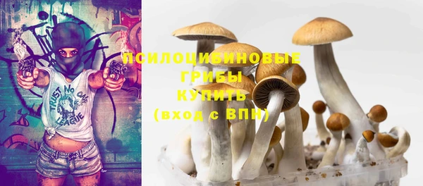 стаф Абаза