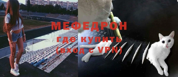 стаф Абаза