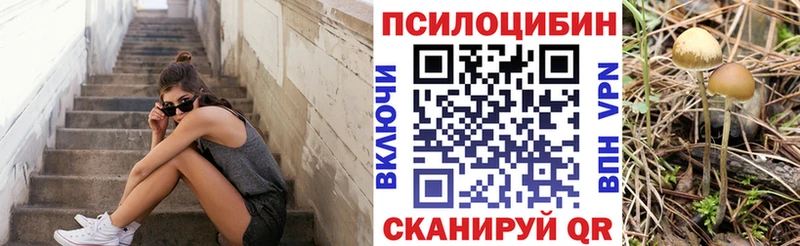 Псилоцибиновые грибы GOLDEN TEACHER Электросталь